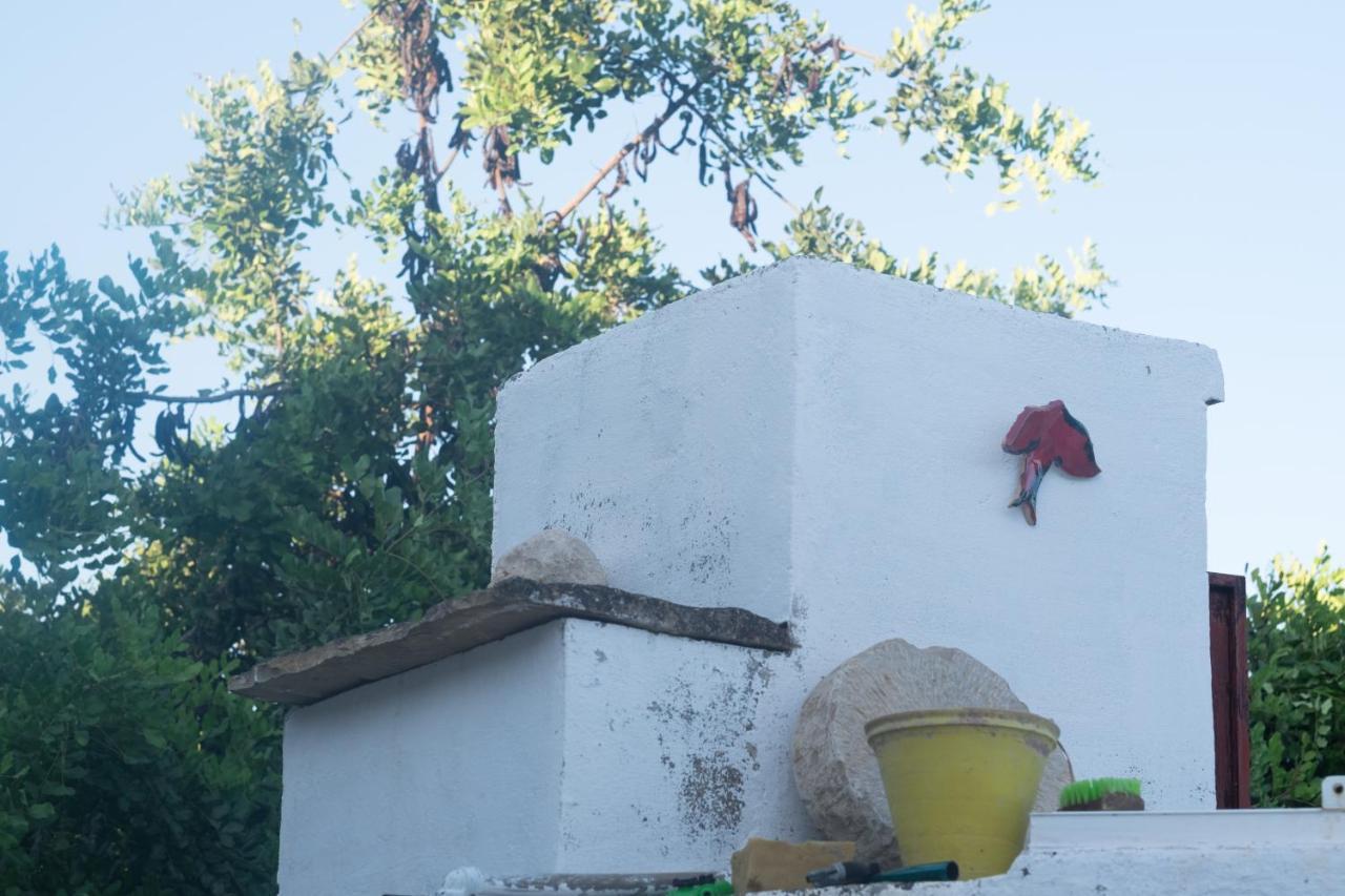 Готель Casa Da Cabeca Azinheiro Екстер'єр фото